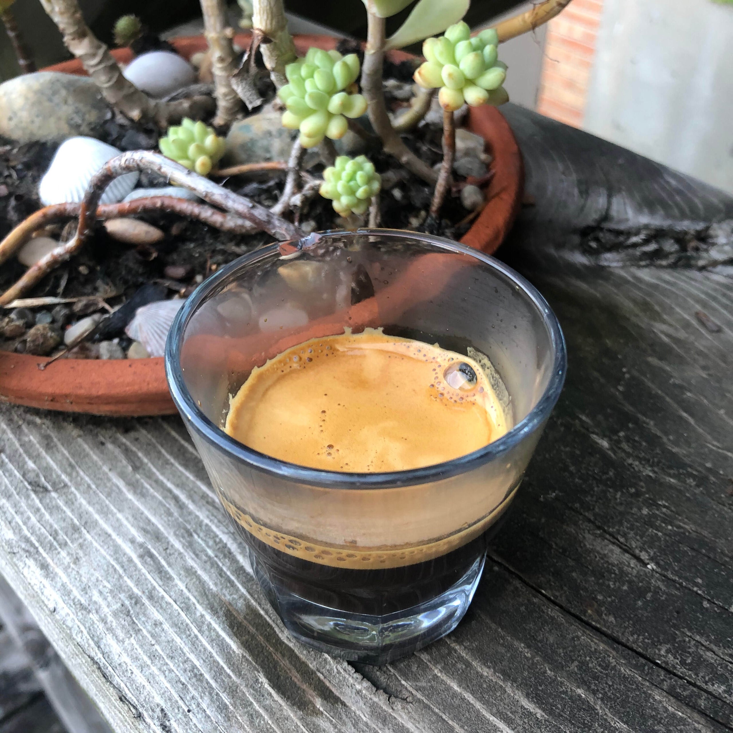 Double Espresso Kaukauna Coffee & Tea